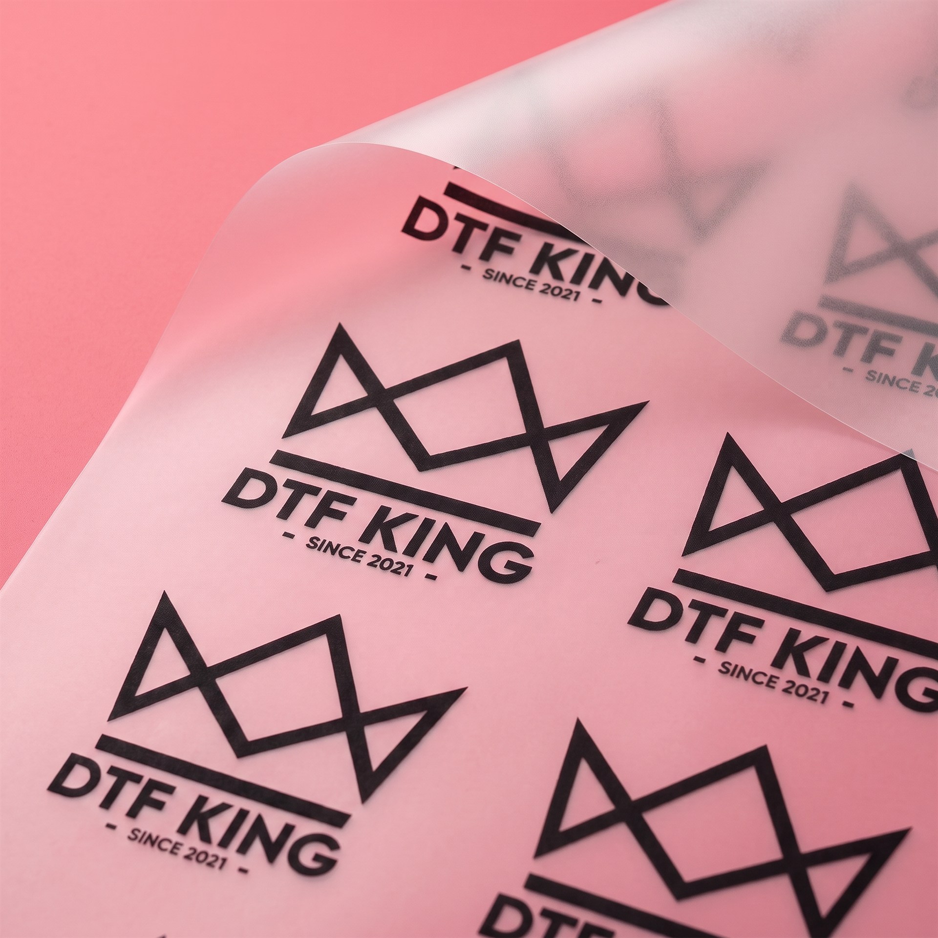 DTF-Transfer Meterware von der Rolle mit DTF-King Logo, milchige Transferfolie vor pinkem Hintergrund